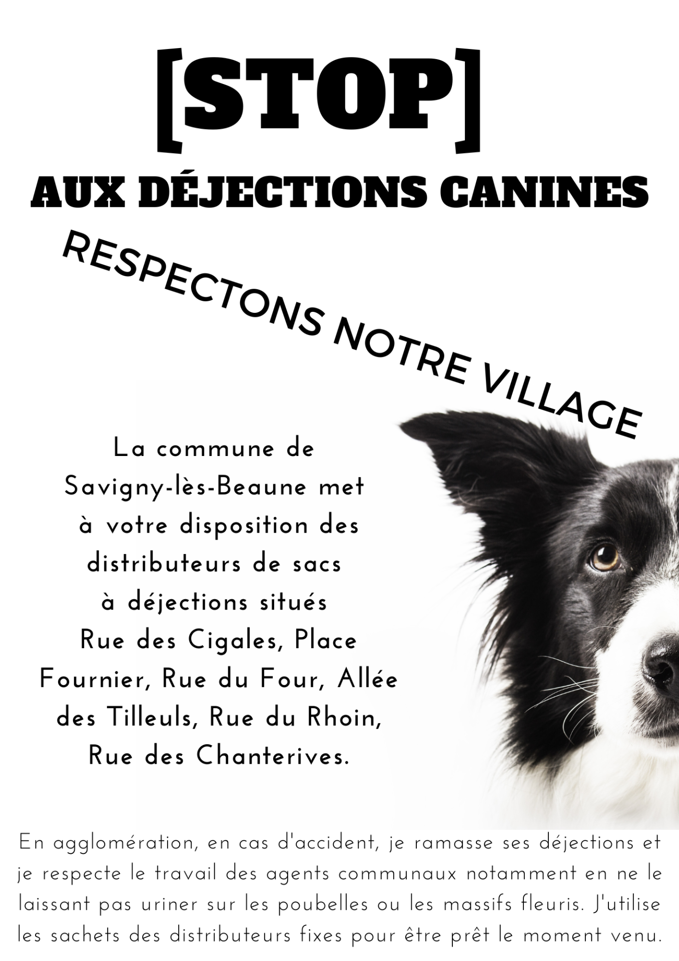 Stop aux déjections canines 